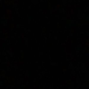 Meet your Posher, Enrique